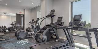 Southerly at Southbank Gallery 4