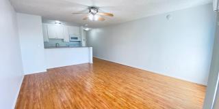 6736 Cleon Ave Gallery 3