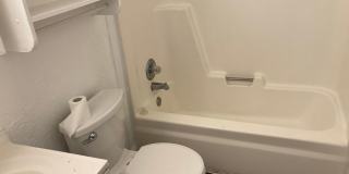 Tusculum Duplex Gallery 12