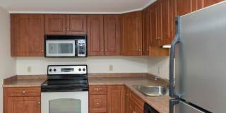 Chestnut Hill East Gallery 2