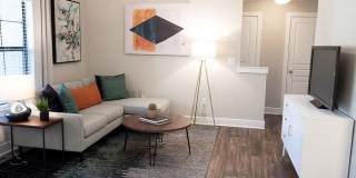 Estates at Vista Ridge Gallery 11