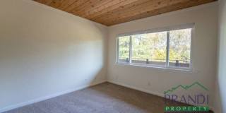 137 Pixley Avenue Gallery 12
