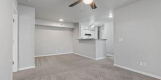 Creekside Clearing Gallery 18