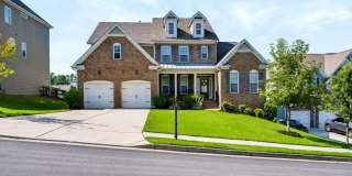 1563 DOUBLE BRANCHES Lane Gallery 1