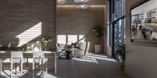 Vivo on Harbor Gallery 22