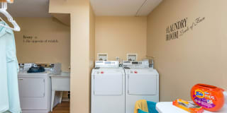 Rose Vista Gallery 25