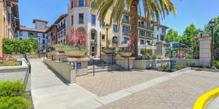 Renaissance Square Gallery 6