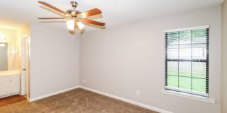 3016 Shade Tree Cove Gallery 10