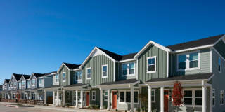 Cadia Sherman Gallery 23