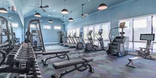 Ariza Scott BLVD Gallery 15