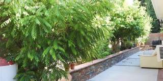 10638 Balcom Avenue Gallery 14