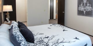 Ridgebrook Apartments Gallery 20