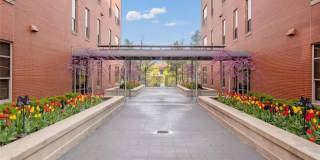 6340 Clayton Gallery 25