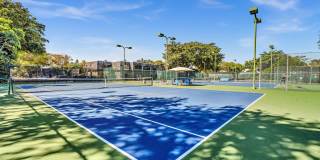 2841 N Oakland Forest Dr Gallery 31