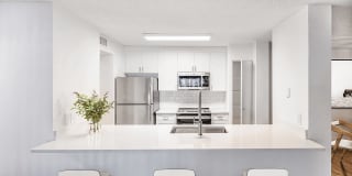 Coconut Palm Club Gallery 35