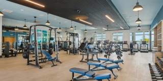 MAA Breakwater Gallery 21