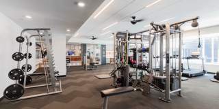 The Fenley Gallery 24