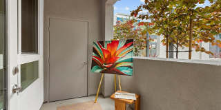 Chroma Apartment Homes Chroma Apartment Homes Gallery 37