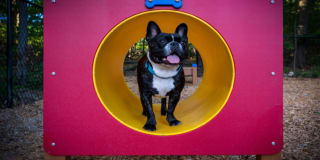 Halstead Countryside Gallery 24