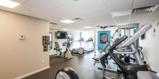 Lakeside Flats Gallery 6