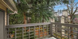 Sutter's Square Gallery 11