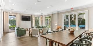 Avana Uptown Gallery 33