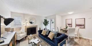 Altamonte Gallery 12