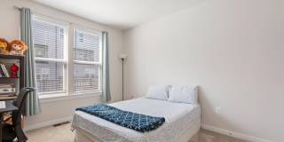 44504 WOLFHOUND Square Gallery 20