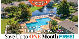 Regatta Bay Gallery 1