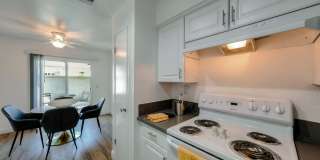 University Plaza Gallery 41