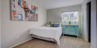 Ashford Apartments Gallery 7