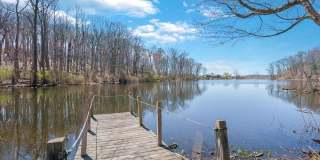19 Mallard Drive Gallery 35