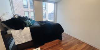 The Elysian Gallery 285