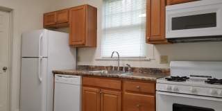 ***AUGUST 2027*** 5 Bed 3 Bath House Downtown Gallery 12
