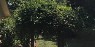 Charming 3BR Home Near Normaltown with Covered Porch & Hardwood Floors Gallery 14