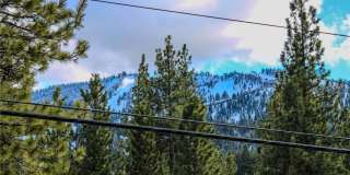 42830 Cougar Road Gallery 19