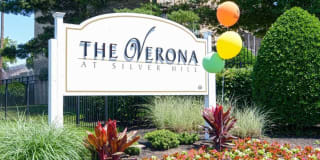 Verona at Silver Hill Gallery 10