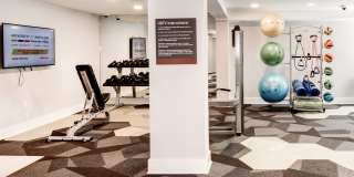Hamilton at Kings Place Gallery 29