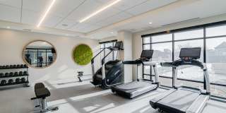 Nolan Mains Gallery 70