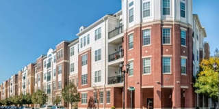 Harbor Pointe Gallery 134