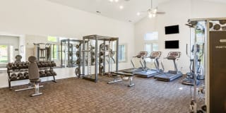 Bridgestone Gallery 21