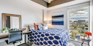 9 on Canal Gallery 22