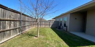 3/2/2  Located between New Braunfels & Seguin / Fridge Included /  Fenced Backyard / CISD Gallery 28