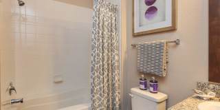 RIZE at Winter Springs Gallery 57