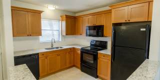 Dunes of Boca Gallery 37