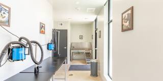 Rowat Lofts Gallery 29