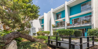 Ocean Club Gallery 34