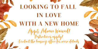 Harbor Walk Gallery 65