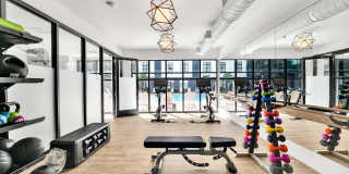 Alta Purl Gallery 68