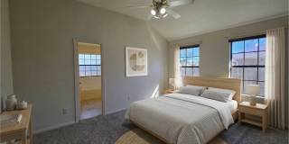 NEW IN MANAGEMENT - AVAILABLE NOW! Gallery 18